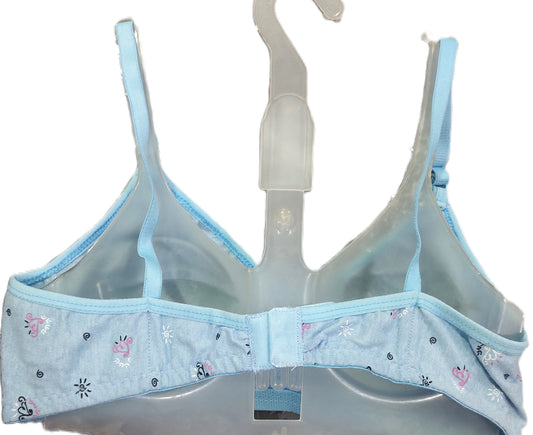 Classic Pihu Bra colour assortment