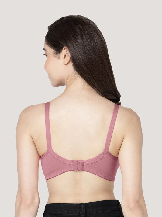 Pooja Ragenee Evlyn Bra – colour assortment