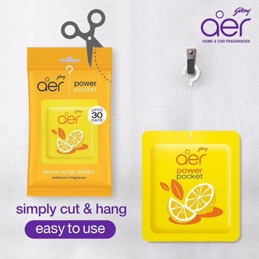 Godrej Aer Power Pocket detail