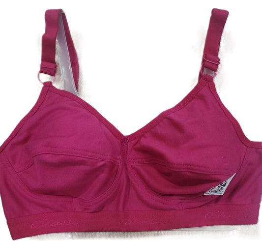 Classic Super-D Bra Pack of 6 extended sizes
