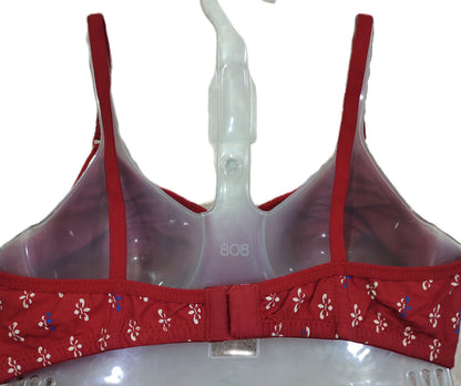 Japan Galaxy Bra assortment