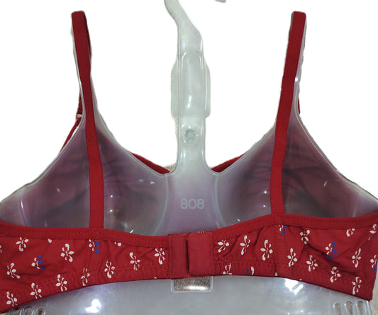 Japan Galaxy Bra assortment