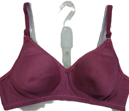 Japan Spacer Bra Pack of 6 front view