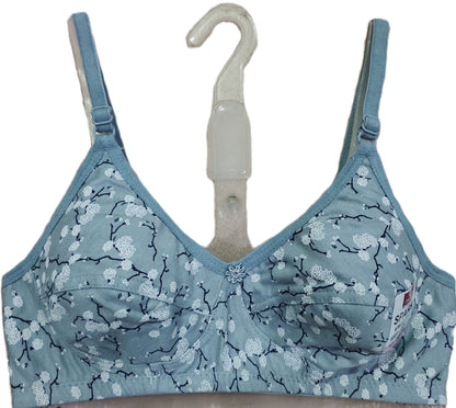 Japan Spark Bra Pack of 6 extended sizes front