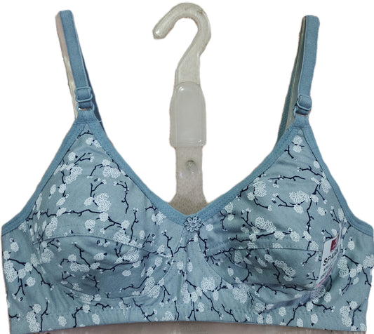 Japan Spark Bra Pack of 6 extended sizes front