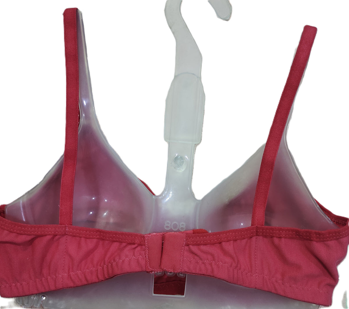 Japan LZI-BZI Bra assortment