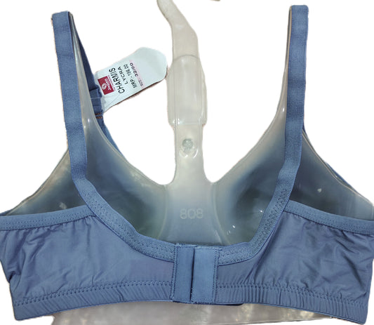 Japan Charmis Bra detail