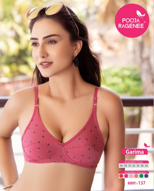 Pooja Ragenee Garima Bra Pack of 6 front view