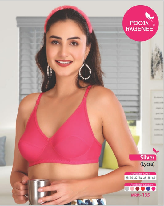 Pooja Ragenee Silver Lycra Bra Pack of 6 front view