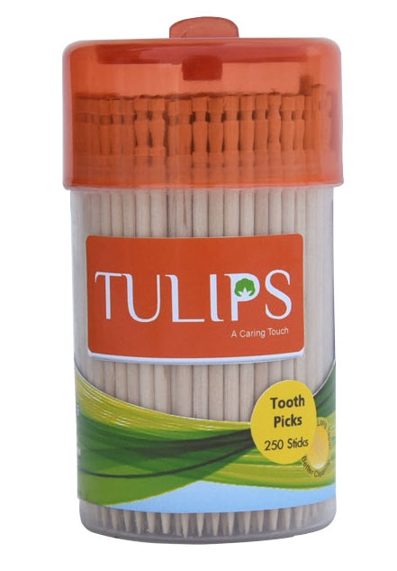 Wooden Toothpicks in a Jar 250pcs Pack of 10 Jars