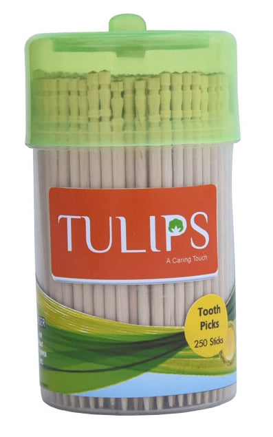 Wooden Toothpicks Jar detail