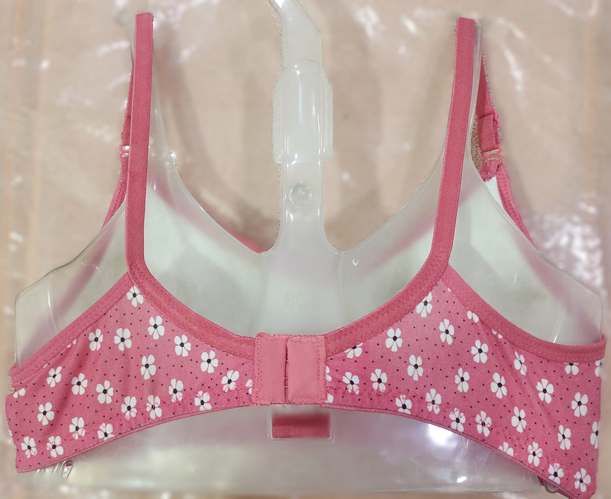Vanila ZARA Bra assortment