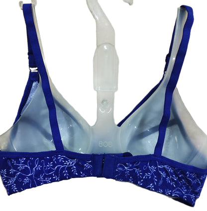 Vanila WIN Bra detail